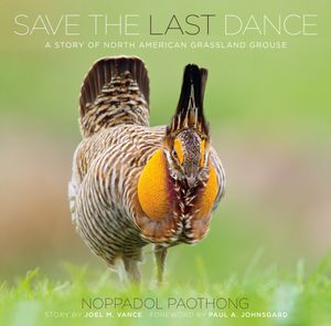 A male Attwater’s prairie chicken, an endangered species, displays on the cover of Noppadol Paothong’s book.