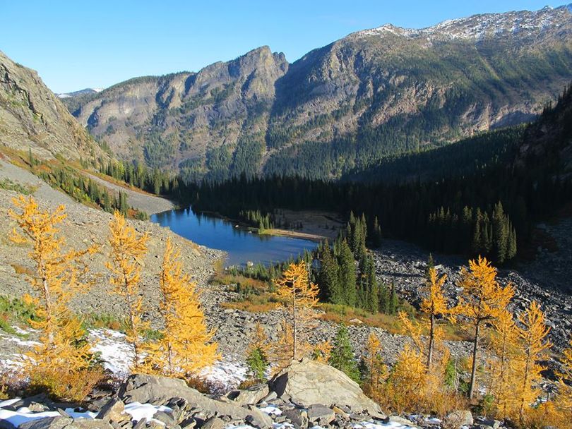 Golden larch mix with other fall colors above Little Ibex Lake in the Cabinet Mountains Wilderness. ( Ken Vanden Heuvel)