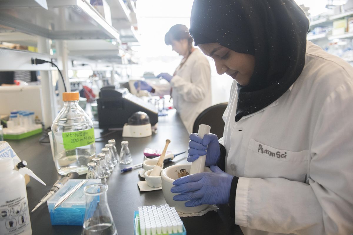 Shamema Nasrin, right, prepares samples of chewing tobacco, Tuesday, April 18, 2017, in a laboratory in the Pharmacy Science department at the WSU Spokane campus. Behind her is Irina Teslenko. Much of the research being done in this lab, mostly concerning tobacco and related disease, is funded by the National Institutes of Health. Nasrin said her home country, Bangladesh, has a large population of smokeless tobacco users. (Jesse Tinsley / The Spokesman-Review)