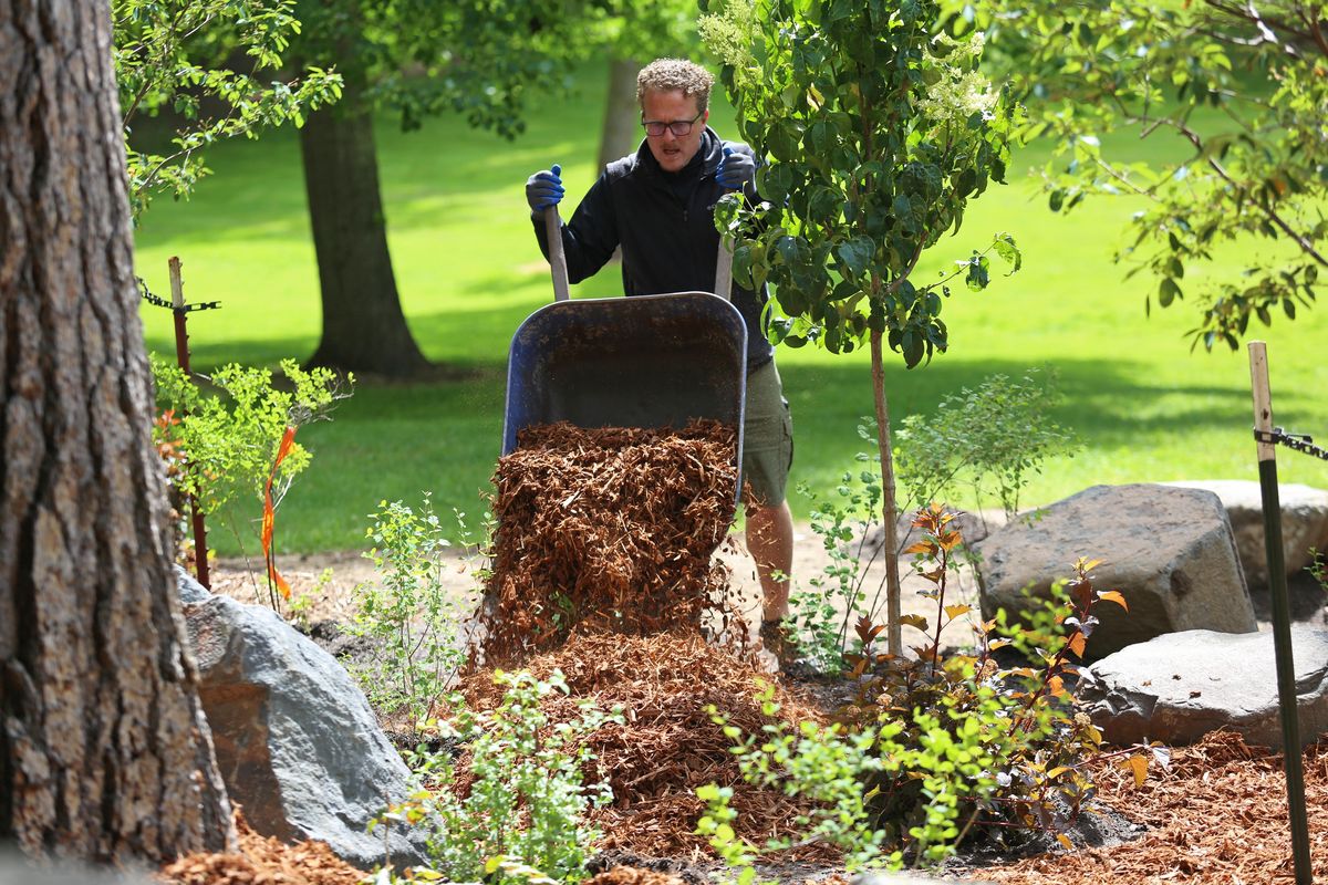 Josh Teichmer empties a wheelbarrow of bark into the new Helen Keller Garden at Manito Park on June 1. Teichmer is a volunteer with the Lions Club. (LIBBY KAMROWSKI/The Spokesman-Review)