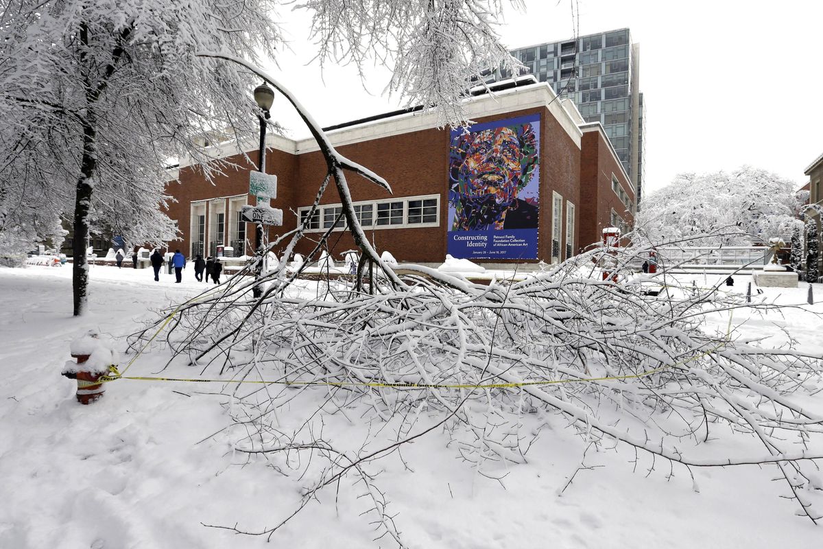 Tree branches, broken from the weight of heavy snow, are scattered on the ground of the park blocks across from the Portland Art Museum in Portland on  Wednesday. (Don Ryan / Associated Press)