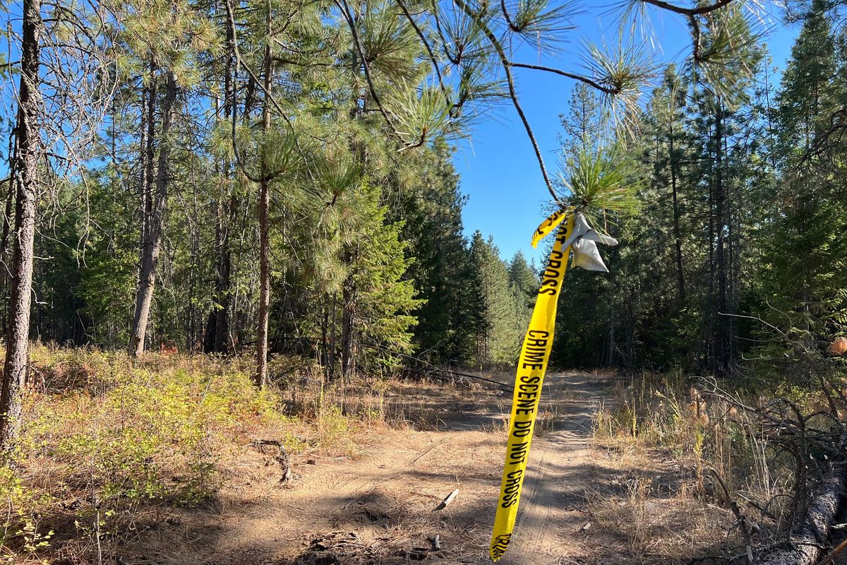 A piece of crime scene tape hangs from a tree branch on a private dirt road where a man was killed Oct. 12, 2002 by a sheriff’s deputies in Stevens County.  (Quinn Welsch/The Spokesman-Review)