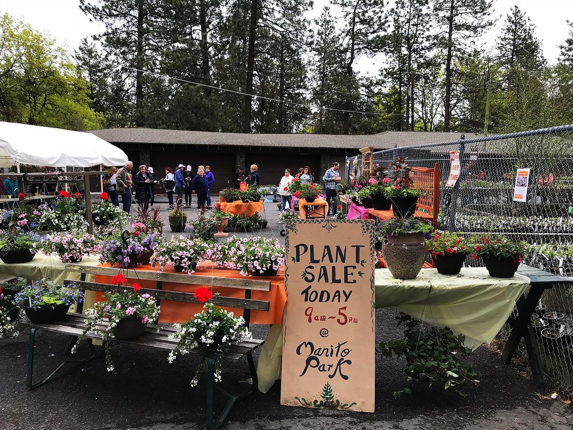 In the Garden Local plant sales mean spring has sprung The Spokesman