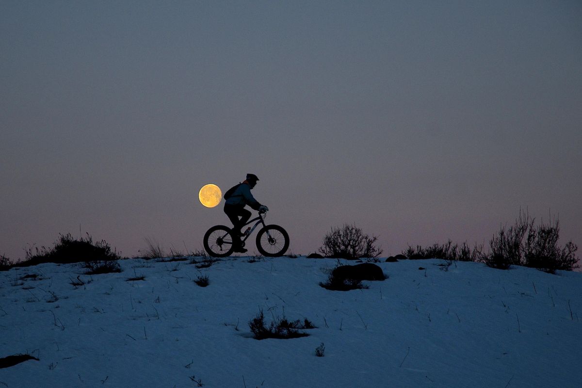 A cyclist pedals a fat bike through the night on a groomed winter trail at Pearrygin State Park.
