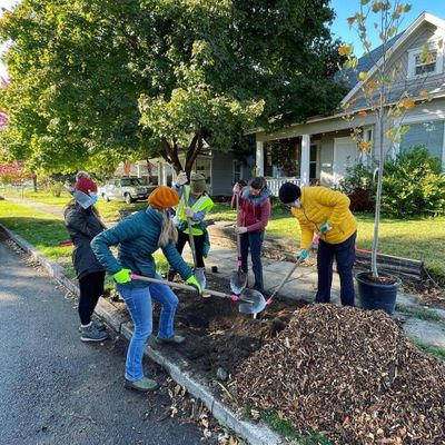 Volunteers plant trees in a Spokane neighborhood in 2022.  (Courtesy of the Lands Council)