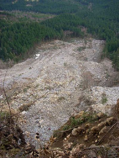 
A huge chunk of land appears to have given way over the winter from the south flank of Greenleaf Peak, three miles north of North Bonneville, Wash. Associated Press
 (Associated Press / The Spokesman-Review)
