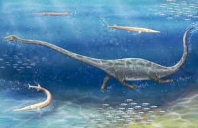 
An artists rendition of Dinocephalosaurus orientalis, a long-necked sea reptile that probably preyed on fish and squid in a shallow sea in present-day southeast China more than 230 million years ago. 
 (Associated Press / The Spokesman-Review)