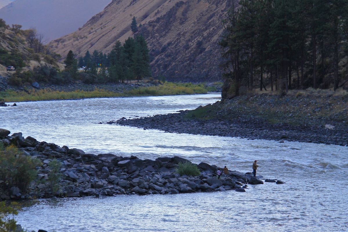 A spin-fisherman works the Salmon River downstream from Riggins, Idaho. Fishing for steelhead with spoons and spinners is often ignored by anglers. (Associated Press)
