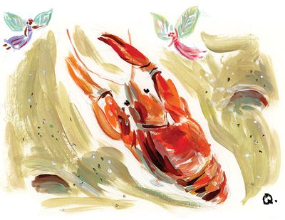  (Molly Quinn illustration)