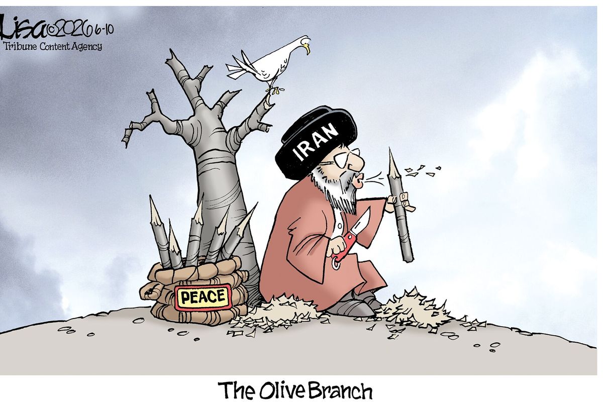 Lisa Benson cartoon  (Lisa Benson )