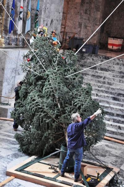 OLYMPIA-- Jim Bensley (left) and Wes Kline of General Administration direct the raising and securing of the Holiday Kids Tree in the Capitol Rotunda Monday, 11/29.2010. (Jim Camden/The Spokesman-Review)
