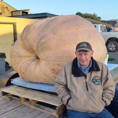 “Pumpkins are pumpkins. They do what they want to do,” says award-winning grower Jeff Uhlmeyer, who has some secrets to cultivating the giants.  (Courtesy of Jeff Uhlmeyer)