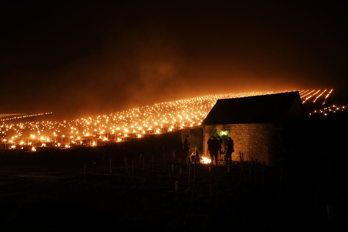 Winegrowers warm themselves around a fire Monday as anti-frost candles burn in a vineyard to protect blooming buds and flowers from the frost, in Chablis in the Burgundy region of France.   (Associated Press)