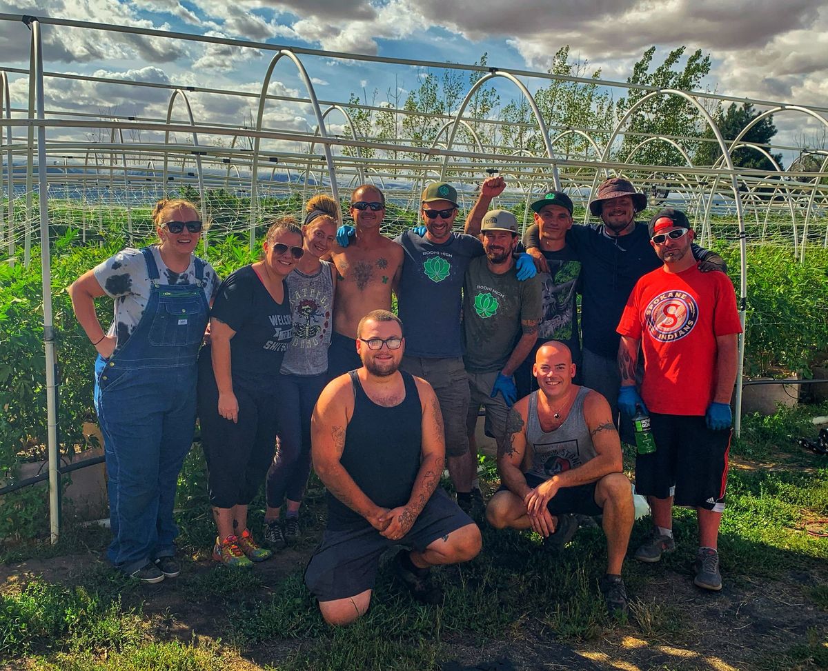 Bodhi High employees spent much of the summer at the company’s outdoor farm in Airway Heights. Some included, back row, from left, Sierra Baker, company COO Stephanie Lamb, Bree Craver, Doug Weller, company CEO Sam Kannall, Adam Wardle, Joe Lombard, Jon Neely, and Craig Straight. Front row, Trevor Milhorn and Tom Sahlberg.  (Courtesy Bodhi High)