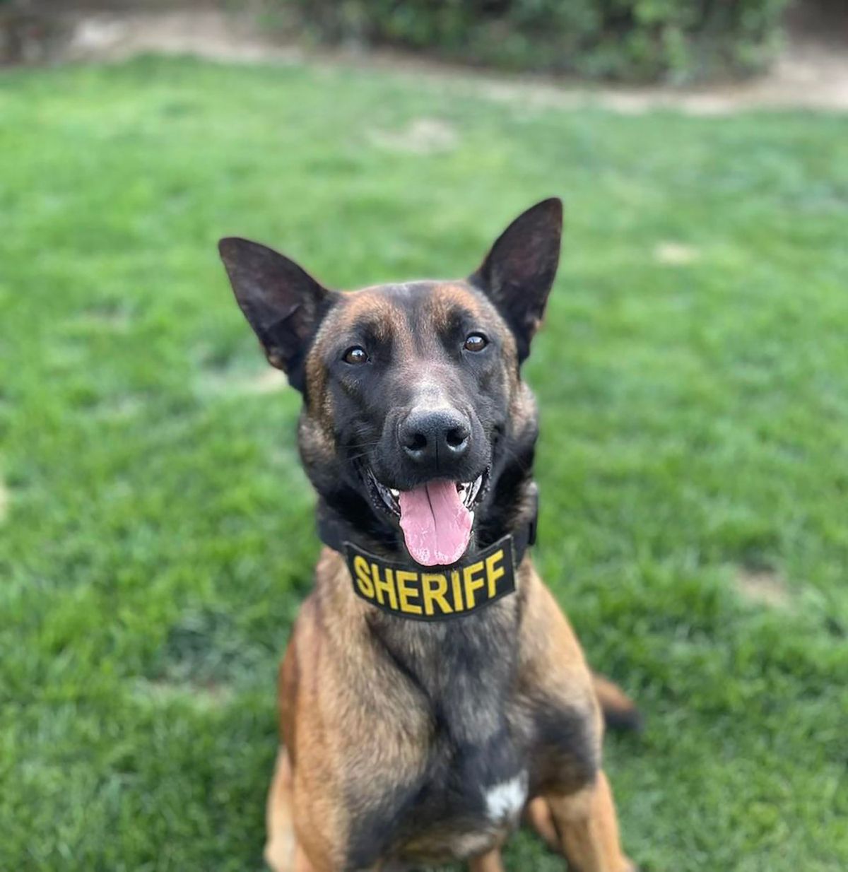 Odin, Madera County Sheriff