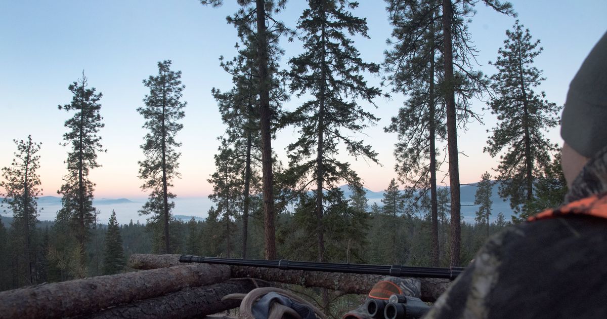 WDFW offers special hunt drawing for early hunter reporting Technocharger