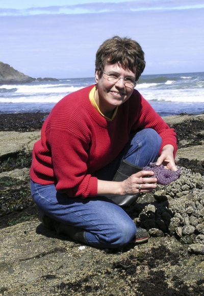 Oregon State University professor Jane Lubchenco handles a sea star in Fogarty Creek, Ore. This 2004 photo was provided by the university, where she’s worked since 1978.  (File Associated Press / The Spokesman-Review)