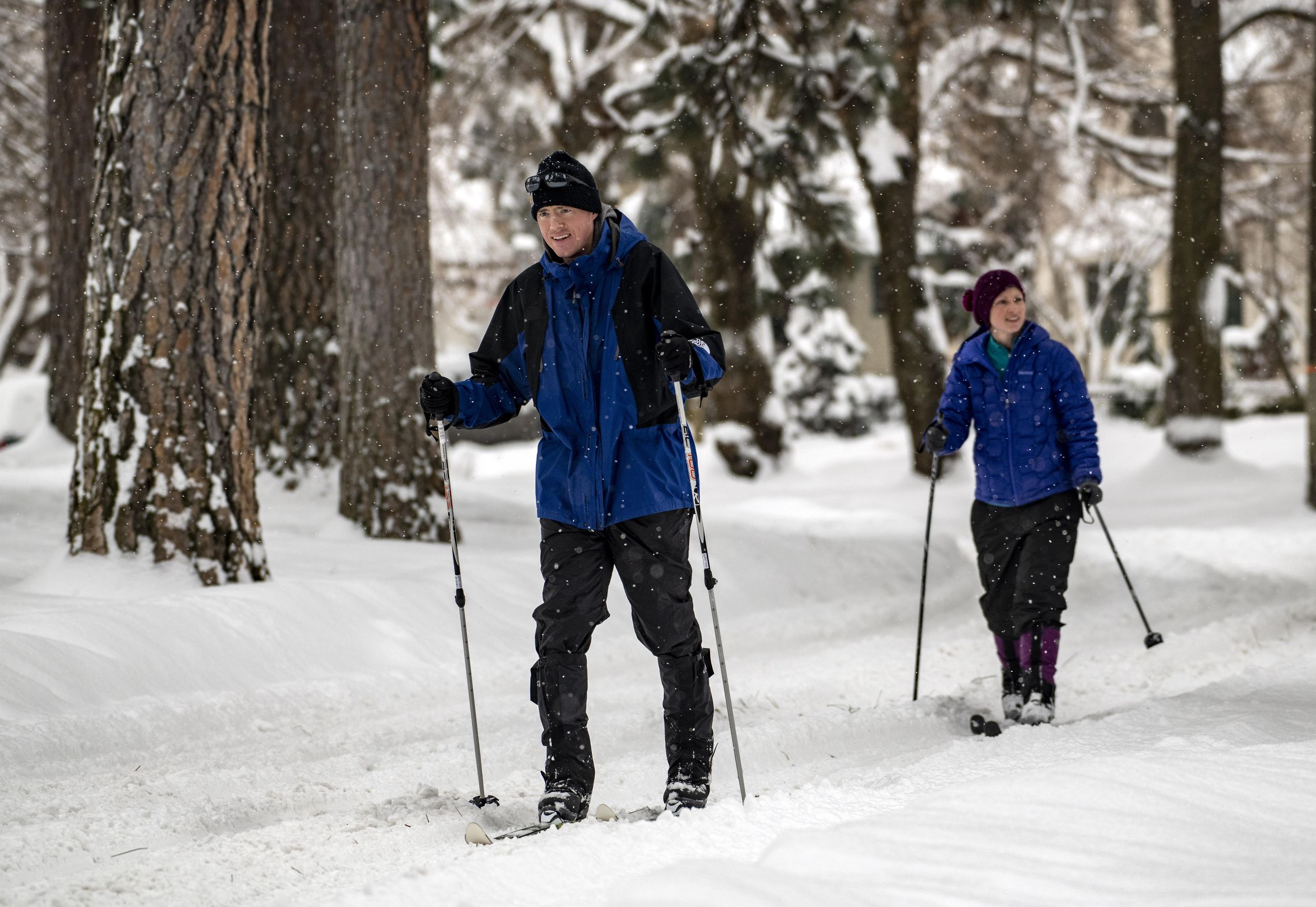 No-fee cross-country ski trails are groomed and open in Spokane | The ...