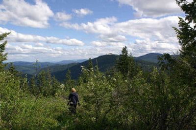 
The Scout Trail leads down into Farragut State Park. 
 (Mike Kincaid Handle Extra / The Spokesman-Review)
