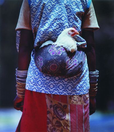 Microfinancing allows the working poor in developing countries to expand their small business ideas. (United Feature Syndicate)