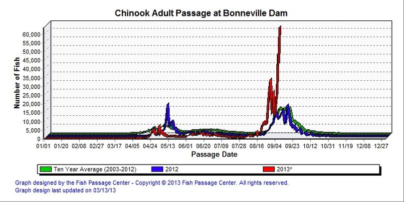 Bonneville Dam fish counts on Sept. 9, 2013 -- showing a record one-day count for fall chinook salmon of 63,870 fish.  (Fish Passage Center)