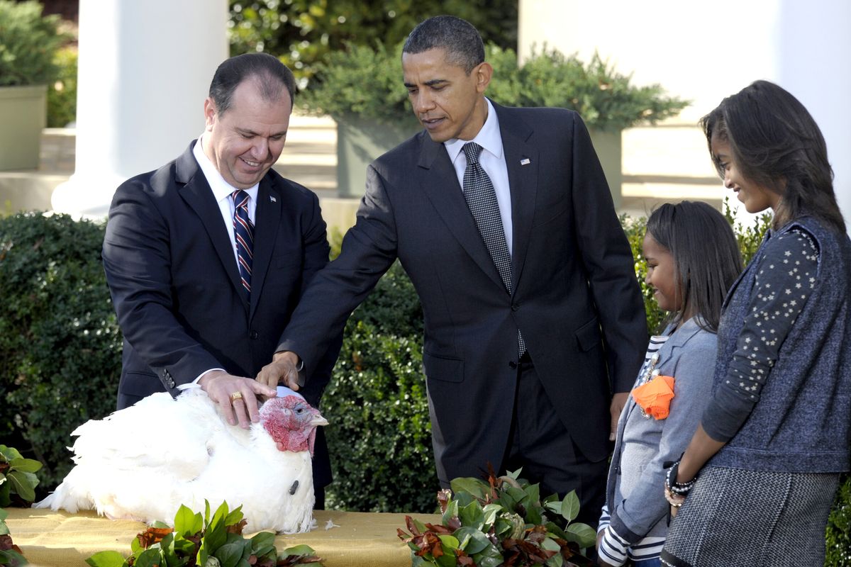 President Barack Obama pets a turkey named Apple  at the White House.  With him are National Turkey Federation Chairman Yubert Envia, left, and first daughters, Sasha, second from right, and Malia, right. (Associated Press)