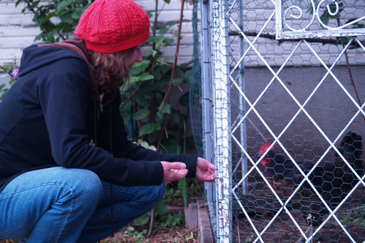 Spokane resident Kelly LaGrutta feeds one of her chickens. Her home and coop will be featured in Slow Food