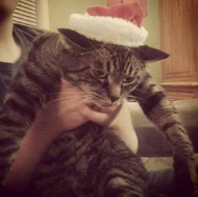 Thor's holiday joy