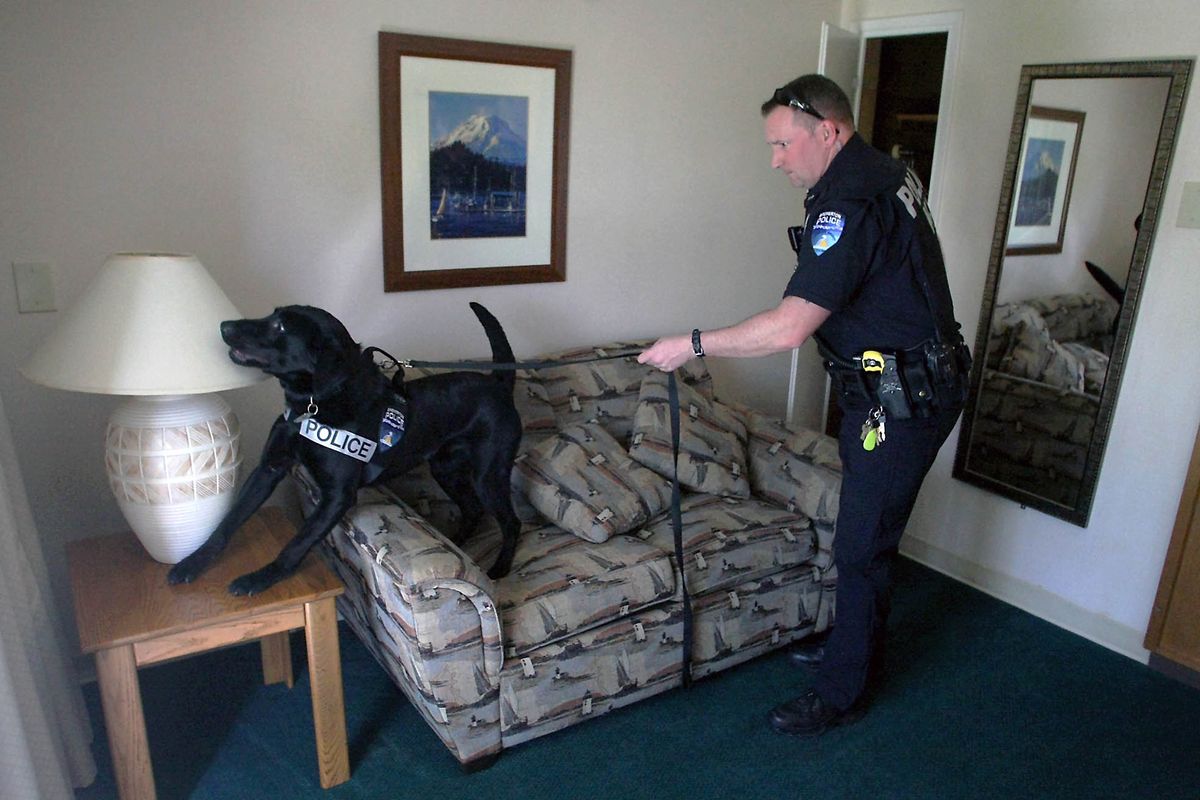 Bremerton police Officer Duke Roessel and his dog, Dusty, search a room at the Quality Inn in Bremerton during a training exercise Tuesday. (Associated Press)