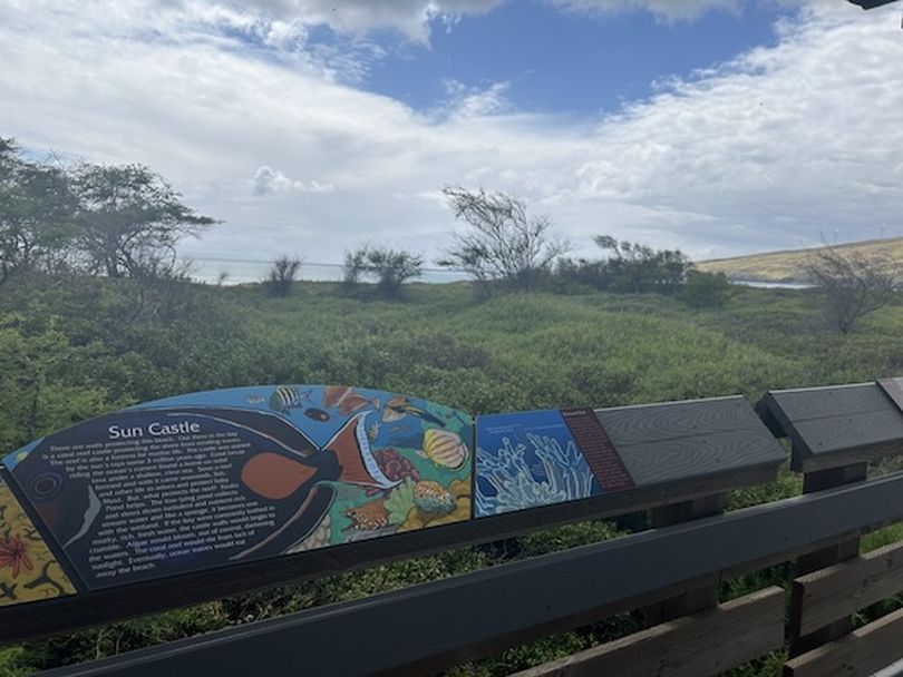Whether learning or just chilling, a walk along Maui's Keālia Boardwalk is refreshing. (Dan Webster)