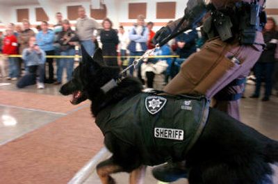 
Karo, a police dog from the Kootenai County Sheriff's Department handled by deputy Jason Shaw, models a ballistic vest at Nicole Travis' dog show Saturday. 
 (Jesse Tinsley / The Spokesman-Review)