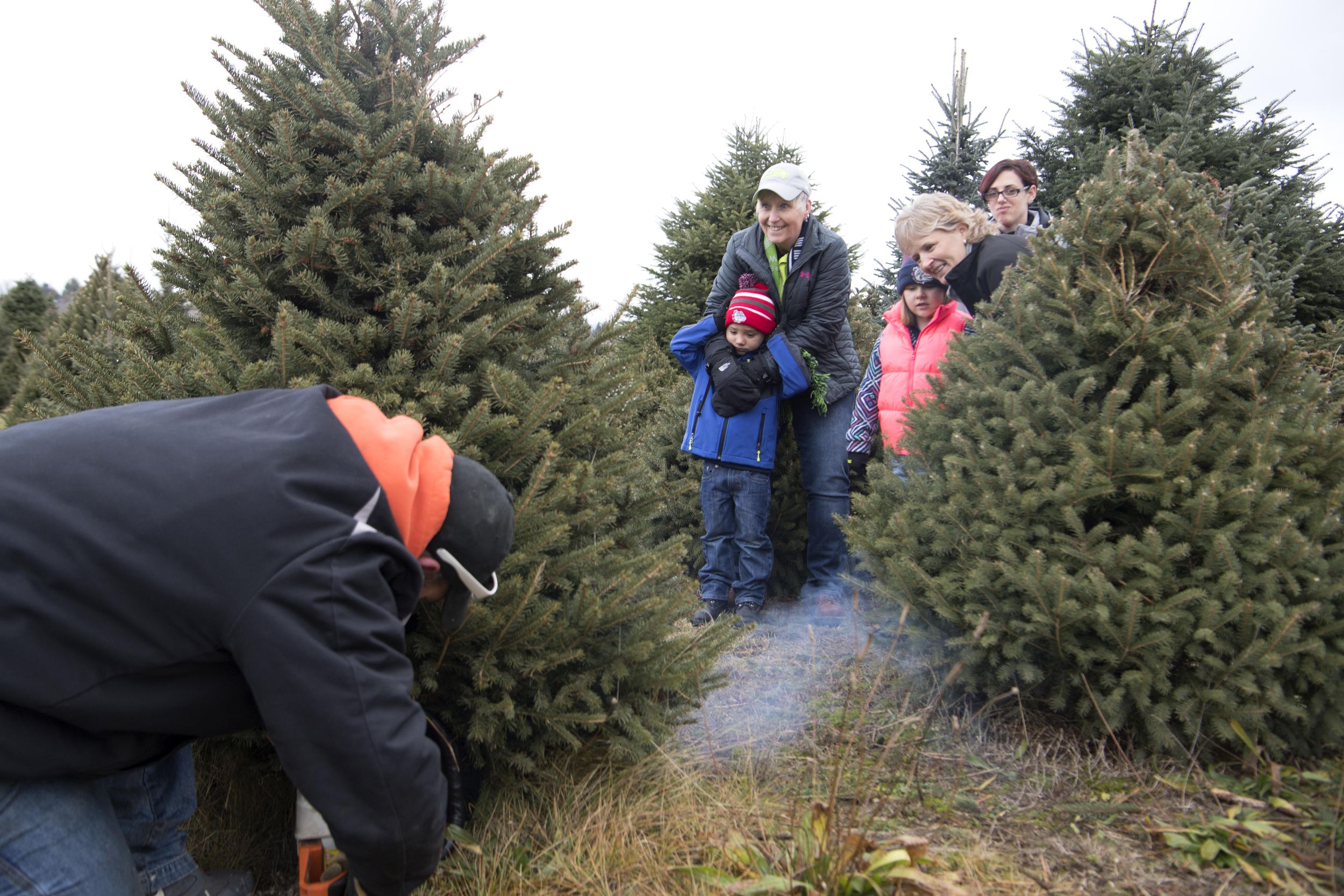 Bergman's Tree Farm - Dec. 4, 2017 | The Spokesman-Review