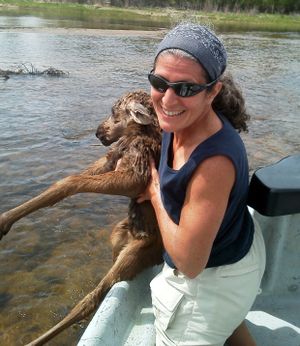 Karen Sciascia holds a baby moose she and Twin Bridges guide Seth McLean rescued in the Big Hole River.
 (courtesy)