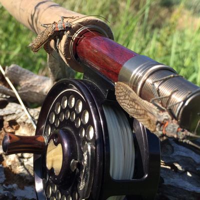 Salmonflies latch onto a fly fisher's rod during a mid-May hatch on the Upper Deschutes River near Madras, Oregon. (Nic Callero)