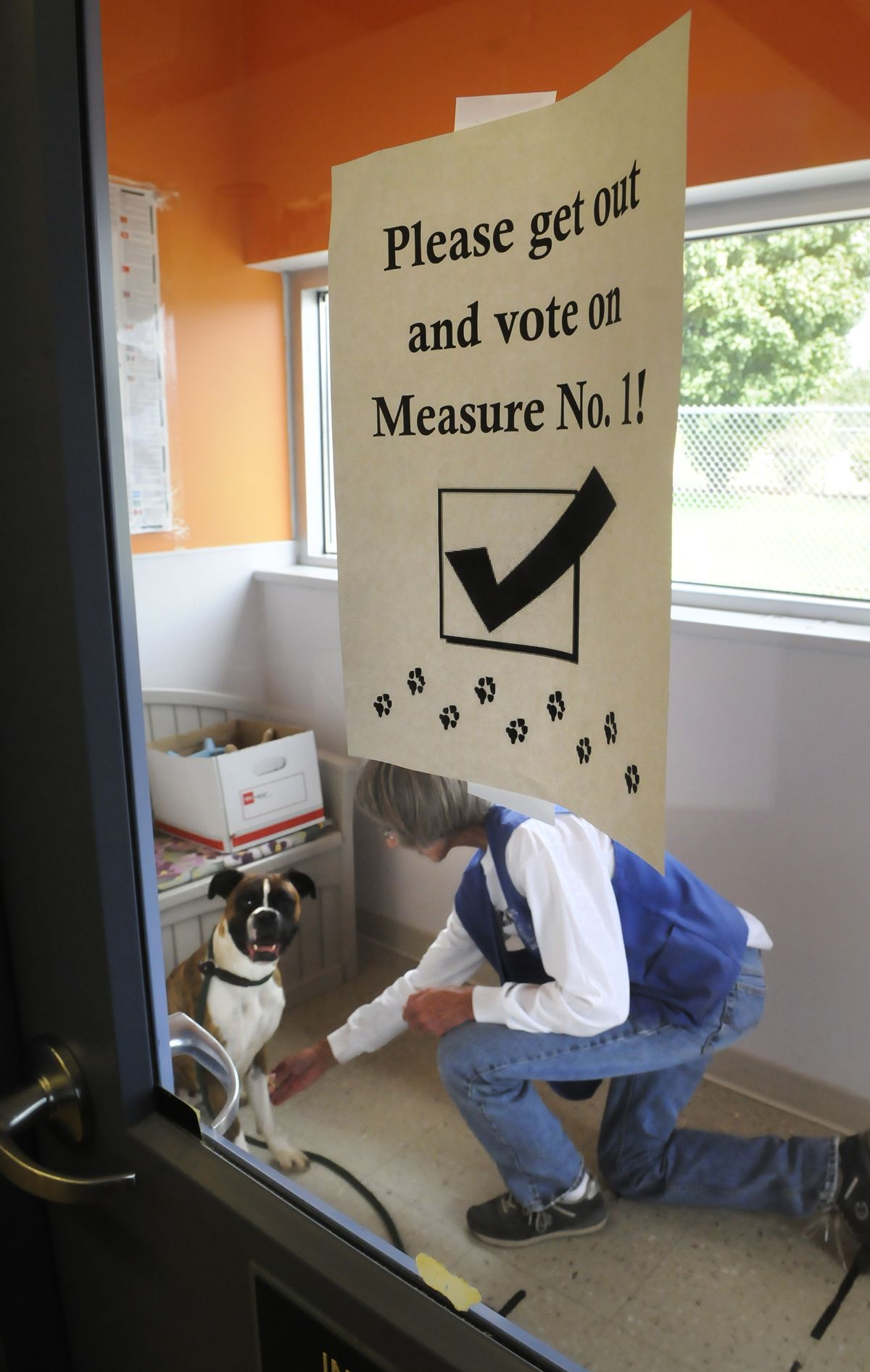 Volunteer Carol Ahrens works with an adult female boxer after walking the animal around the SCRAPS building on Friday in Spokane Valley. Ballot Measure 1, which is on the Nov. 8 ballot, seeks to implement a levy to help pay for replacing the Spokane County animal shelter building. (Dan Pelle)