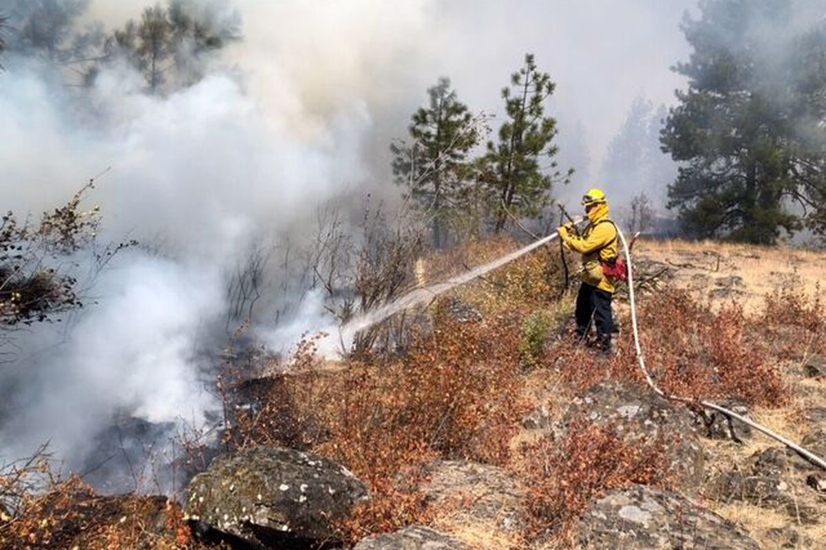 Spokane firefighter Lee Venning hits some hot spots while working on a wildfire Friday near the Sunset Highway.  (DAN PELLE/Spokesman-Review)