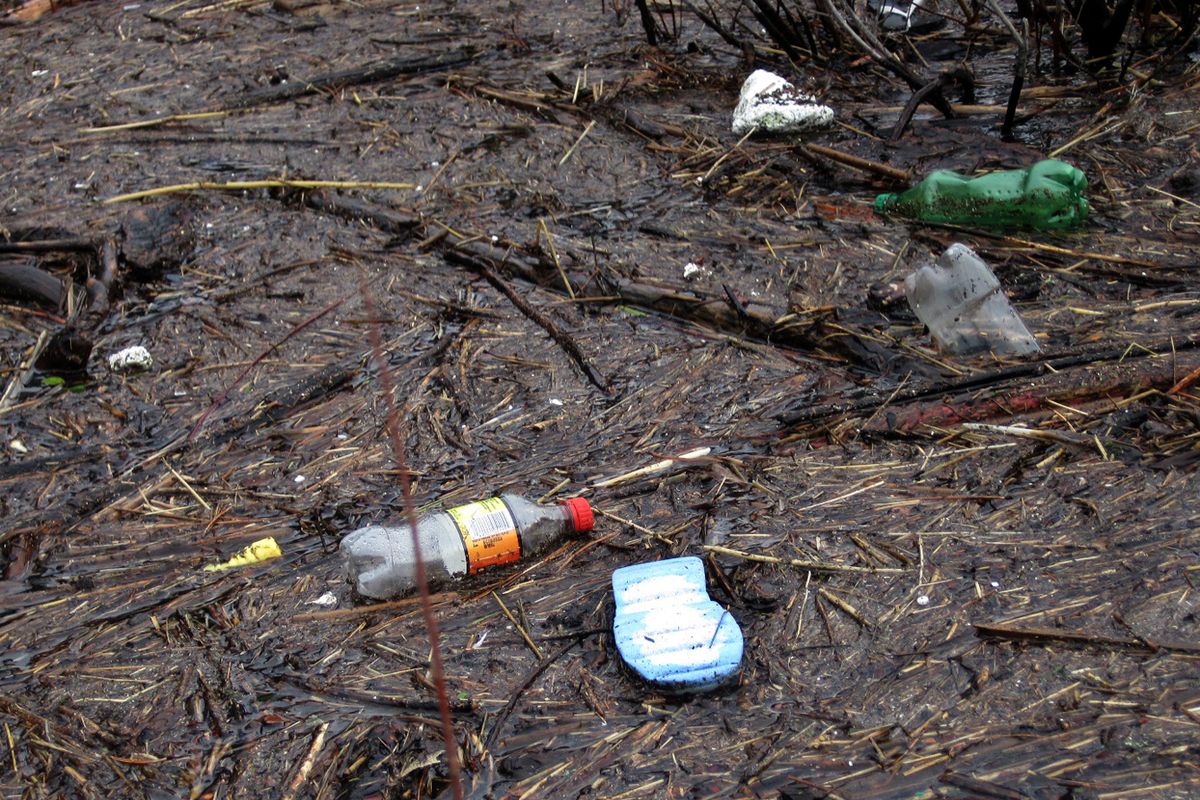 Trash litters the Spokane River downstream from downtown Spokane in February 2015. (Bart Rayniak)