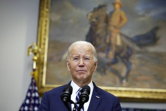 Poll Of Historians Ranks Biden 14th-best President, Trump Worst | The ...