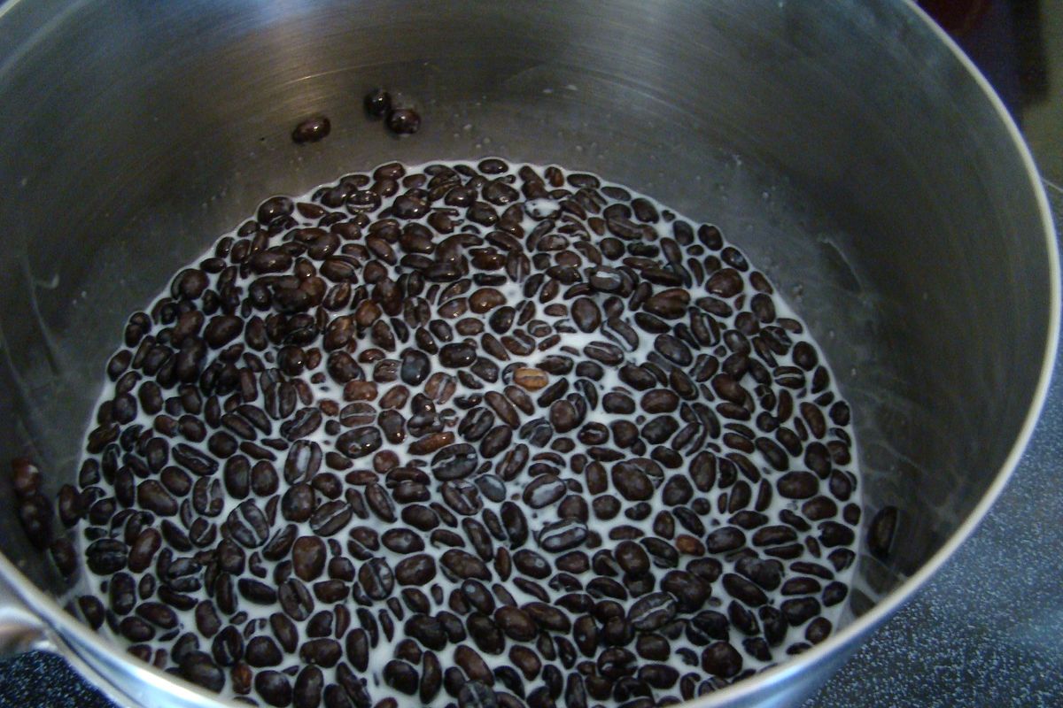 Coffee beans infusing in milk and sugar--the beginning of coffee ice cream. (Maggie Bullock)