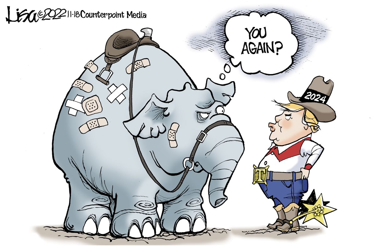 Lisa Benson, Counterpoint Media  (Lisa Benson)