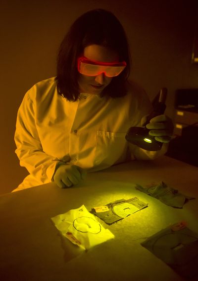 Forensic scientist Anna Wilson examines biological evidence  (Colin Mulvany)