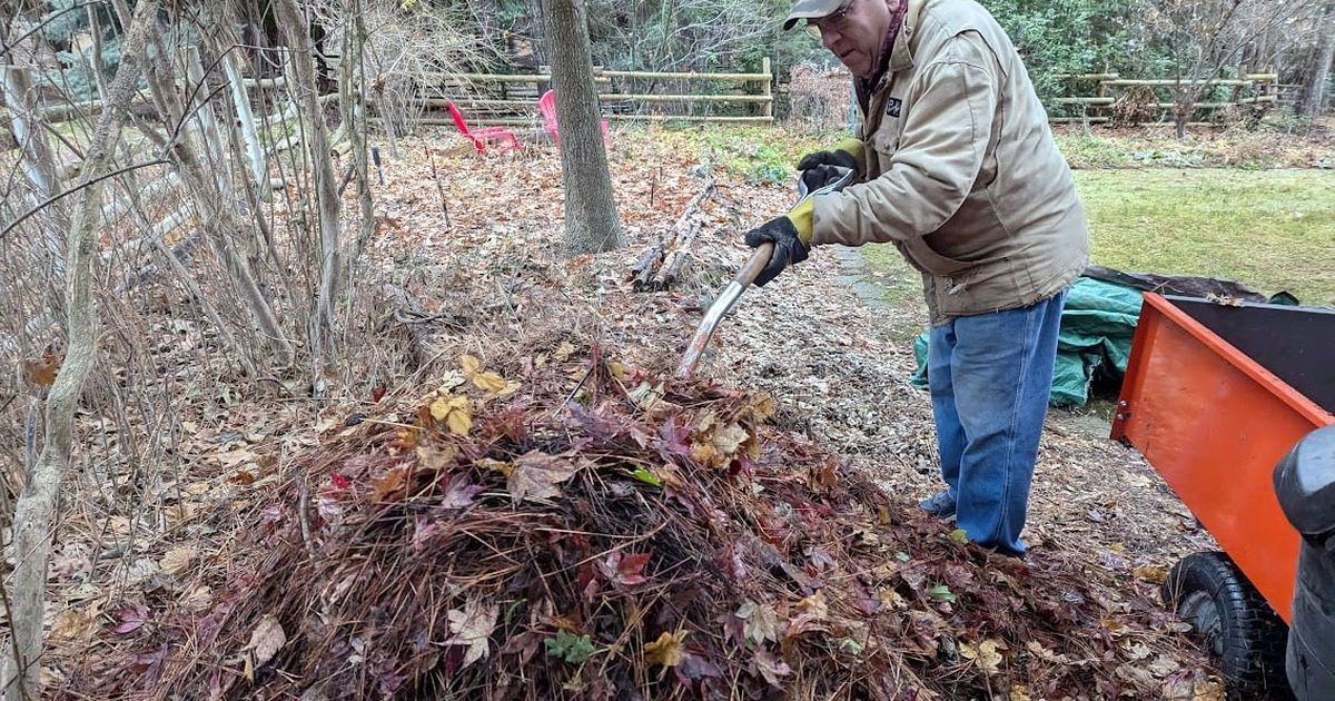 Gardening: Compost can improve the health of the soil in your garden