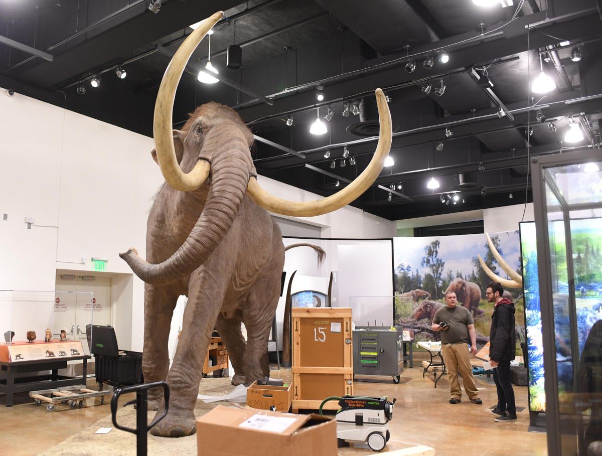 March of the Mammoths: Ice Age beasts bring history alive ...