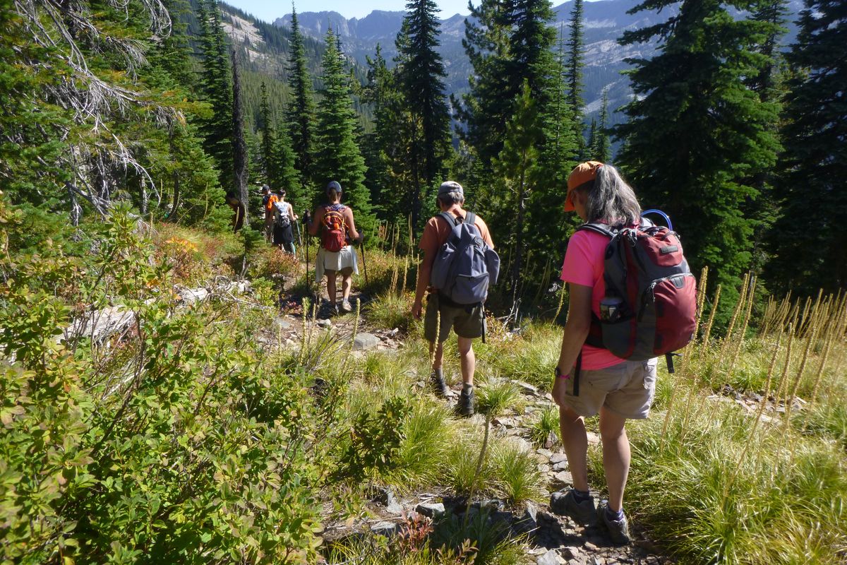 Hikers on a trek led by the Friends of the Scotchman Peaks Wilderness follow the trail off East Fork Peak in the Lightning Creek drainage. (Rich Landers)
