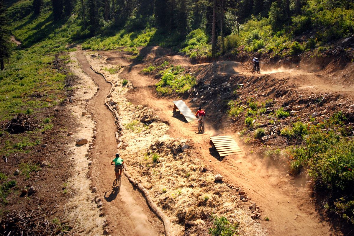 The Beargrass Trail, a new downhill mountain biking route geared to beginners, opened recently at Schweitzer Mountain Resort. Courtesy of Schweitzer Mountain (Courtesy of Schweitzer Mountain / The Spokesman-Review)