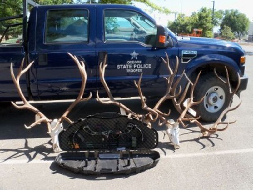 Trophy elk antlers from a poaching case in the Blue Mountains Wenaha Unit confiscatd by Oregon State Police. (Oregon State Police)