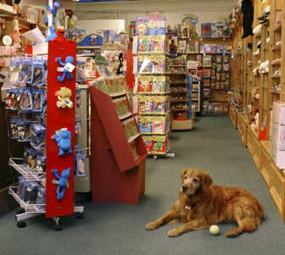 
Cassie the golden retriever keeps watch Thursday at Second Childhood Toys in Hastings, Minn.Associated Press
 (Associated Press / The Spokesman-Review)