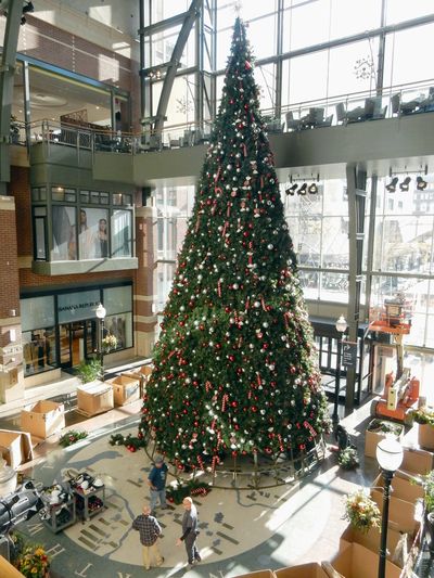 Workers put the last of the faux greenery on the giant holiday tree Wednesday inside the atrium at River Park Square in downtown Spokane. The downtown mall will celebrate the arrival of Santa Claus at 6:30 p.m. Friday.  (Jesse Tinsley/THE SPOKESMAN-REVIEW)