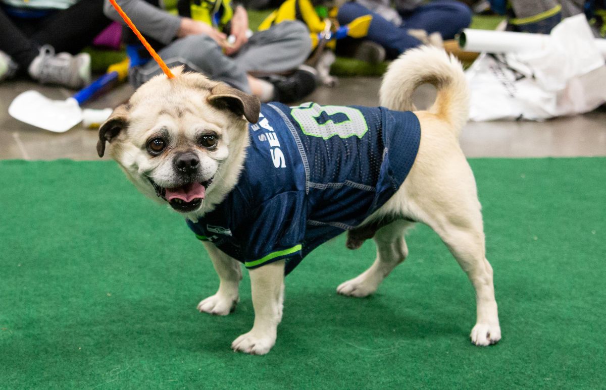 Outdoor Dog Fashion show Feb. 24, 2019 The SpokesmanReview