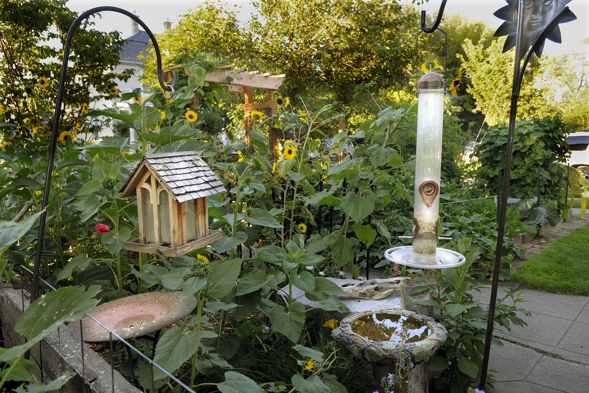 chrisa@spokesman.com Pat and Lisa Coleman’s Peaceful Valley garden includes an extensive feeding and watering area for birds. (CHRISTOPHER ANDERSON / The Spokesman-Review)